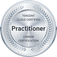 Practitioner